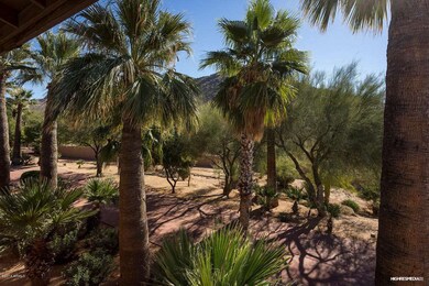 6 View II