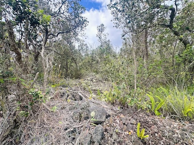 92-9130 Tree Fern Ln, Ocean View, HI 96737 - photo 3