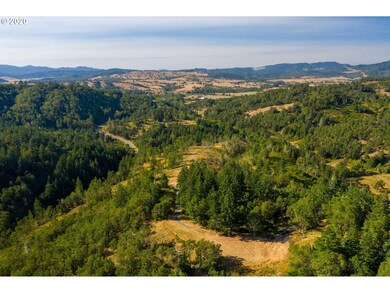 1393 Old Pioneer Rd, Oakland, OR 97462 - photo 6