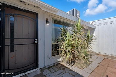 3736 W Mercer Ln, Phoenix, AZ 85029 - photo 5