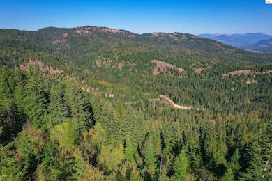 NKA Bodie Canyon Rd, Priest River, ID 83856 - photo 3