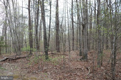 0 Mallorys Ford Rd unit 1000142097, Gordonsville, VA 22942 - photo 2