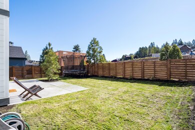 6 - Backyard