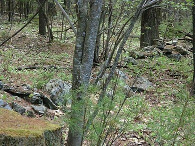 Land/Lot.