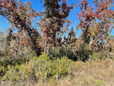 TBD Lot #18 Sea Oaks Dr, Perry, FL 32348 - photo 5