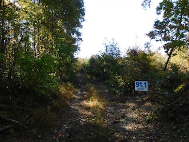 91.1 Acr Elkhorn Rd, Java, VA 24565 - photo 6