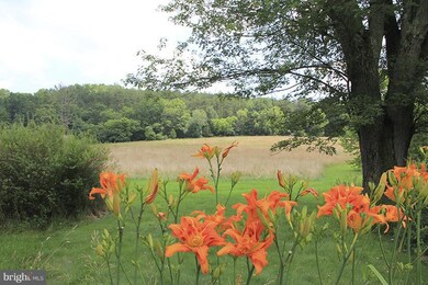 unlisted-address, Edinburg, VA 22824 - photo 4