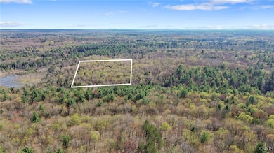 0 Island Rd unit S1604113, Albion, NY 13493 - photo 5