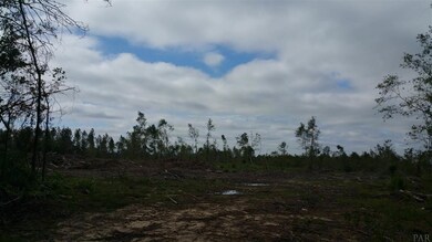 00000 Klondike Rd, Pensacola, FL 32526 - photo 2