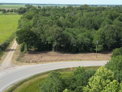 0 Highway 585, Pioneer, LA 71266 - photo 4