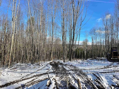 002 Duck Pond Rd, West Glover, VT 05822 - photo 3