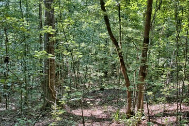 1190 Waterstone Dr, Madison, GA 30650 - photo 7