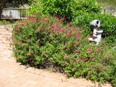 4864 N Territory Loop, Tucson, AZ 85750 - photo 4