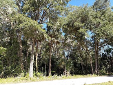 0 NE 35th St unit MFROM715037, Williston, FL 32696 - photo 4