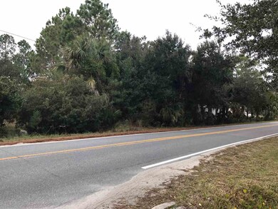 0 Shell Point Rd unit 1 289208, Crawfordville, FL 32327 - photo 5