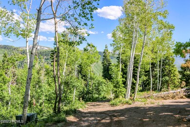 59 N Quaking Pine Circle Fairview UT 846