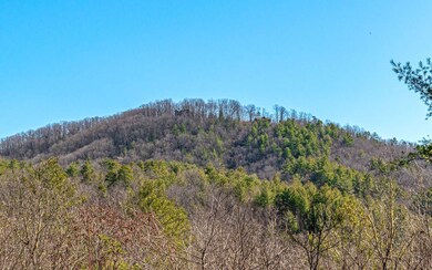 Additional View