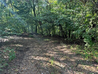 0 Pimlico Ln unit 1258601, Bella Vista, AR 72714 - photo 6