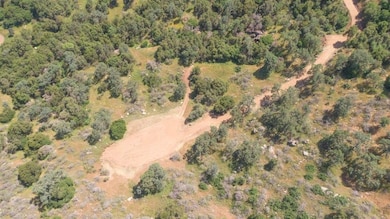 0 Ruth Hill Rd unit 616689, Squaw Valley, CA 93675 - photo 2