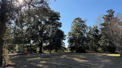 16508 NW 192nd Place, Williston, FL 32696 - photo 2