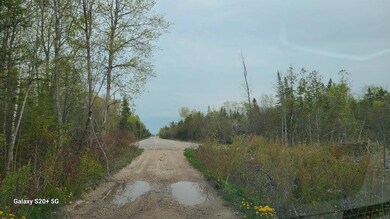 Access Road