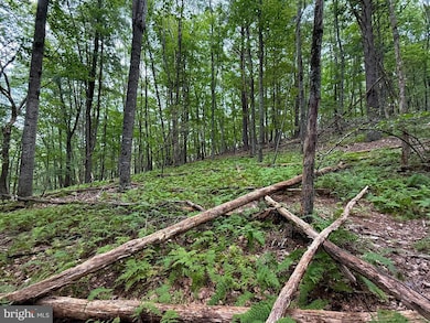 Lot 20 Wits End, Mathias, WV 26812 - photo 4