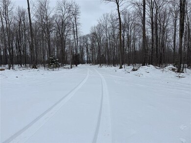 000000000 County Rd E, Mason, WI 54856 - photo 5