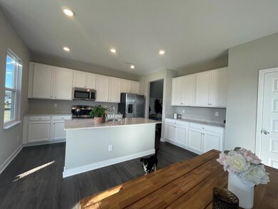 33 Hollister Way, Cicero, IN 46034 - photo 2