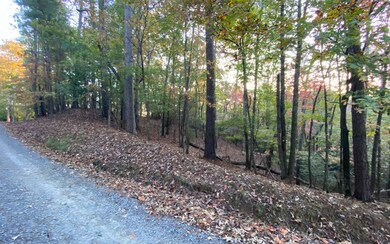 Additional View