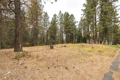 17509 N Hilltop Rd, Colbert, WA 99005 - photo 7