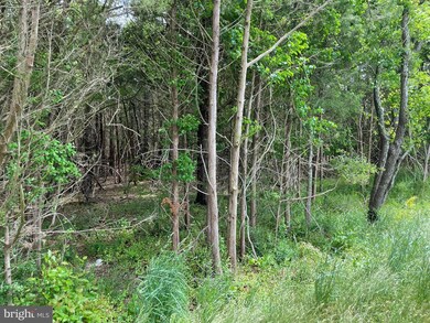 0 E Main St unit NJOC2025964, Tuckerton, NJ 08087 - photo 3