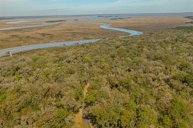 435 Pike's Bluff Dr, St. Simons Island, GA 31522 - photo 6