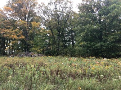 Lots 2/3 Strong Rd, Argonne, WI 54511 - photo 2