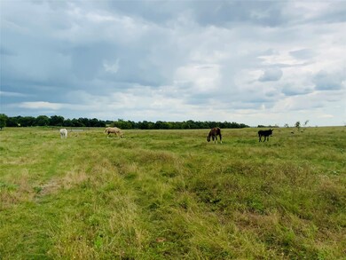 576 State Highway 7, Eddy, TX 76524 - photo 5