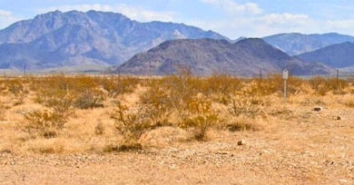 S Angell Rd, Yucca, AZ 86438 - photo 3