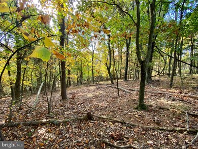 10 Top of the Mountain, Moorefield, WV 26836 - photo 5