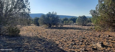 Xxxx Martinez, Williams, AZ 86046 - photo 7