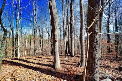 TBD Rockinghorse Trail unit Tract 3, Burnsville, NC 28714 - photo 2