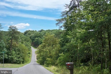 25 Weber Ln, Berkeley Springs, WV 25411 - photo 5