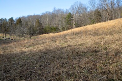 4038 Elihu Cabin Hollow Rd, Somerset, KY 42501 - photo 3