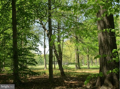 0 Turnberry Ct unit 1000480469, Chestertown, MD 21620 - photo 3