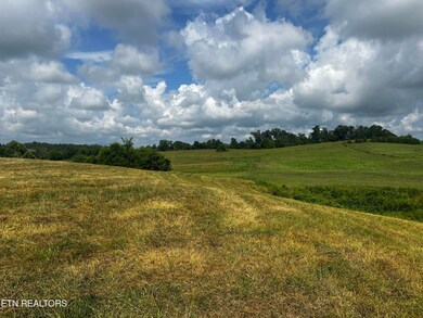 IMG_6929
