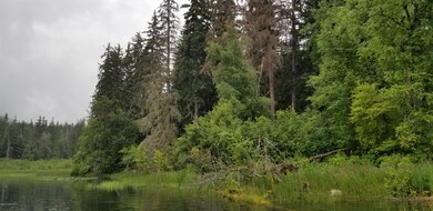 20180718_114714_resized