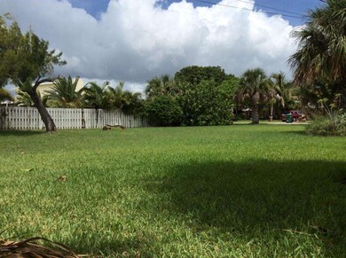 Large backyard