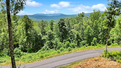 Lot 27 Summit View Pkwy, Spruce Pine, NC 28777 - photo 2