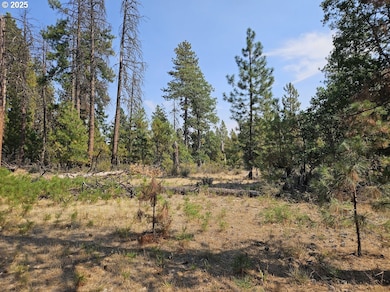 0 Hawks Wind Rd unit 1 162521196, Goldendale, WA 98620 - photo 5