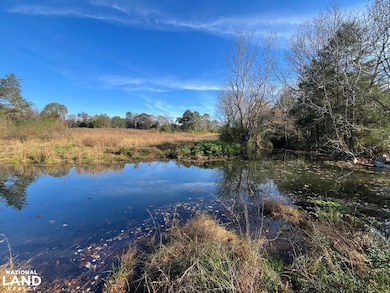 0001 Hwy 231, Vincent, AL 35178 - photo 3