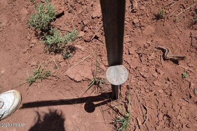 20230508215824167237000000-o