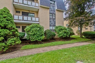 56 Bigelow Ave unit 18, Watertown, MA 02472 - photo 6