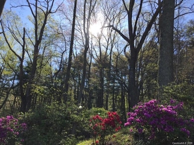 62 Wynne Dr, Asheville, NC 28806 - photo 5